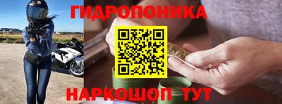 спиды Можга