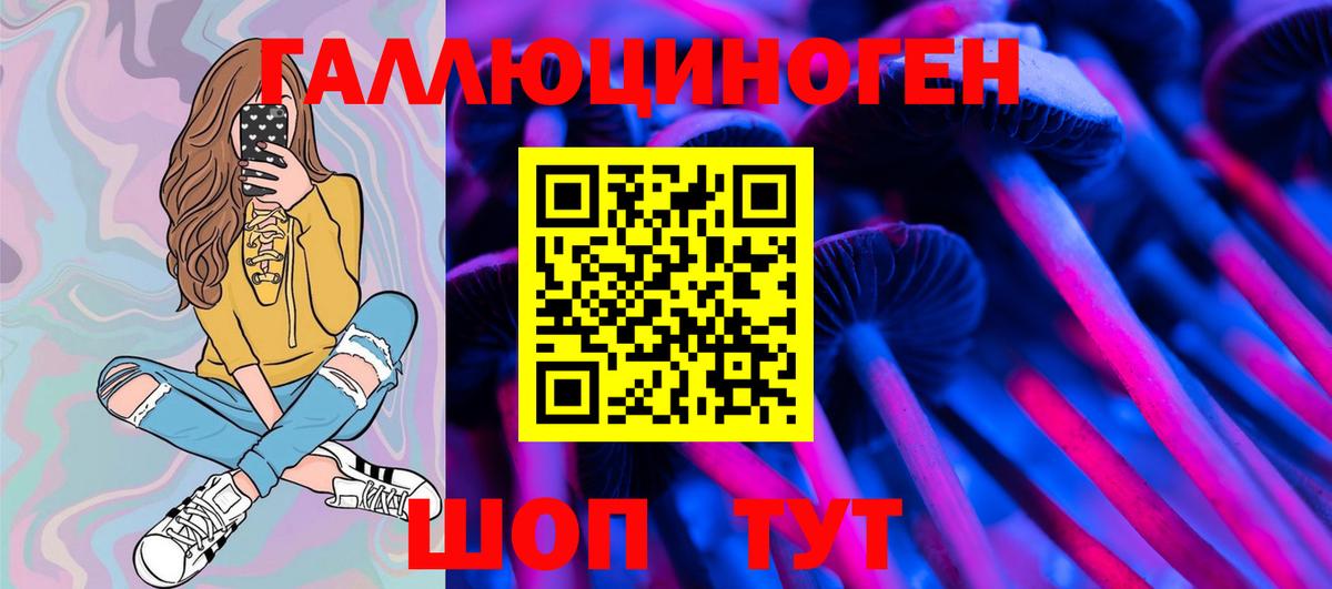 Чехов  Псилоцибиновые грибы GOLDEN TEACHER  Псилоцибиновые грибы GOLDEN TEACHER  Вход с VPN 