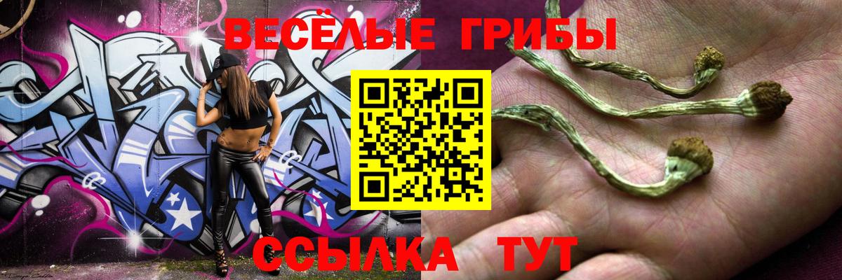 Галлюциногенные грибы прущие грибы Чехов
